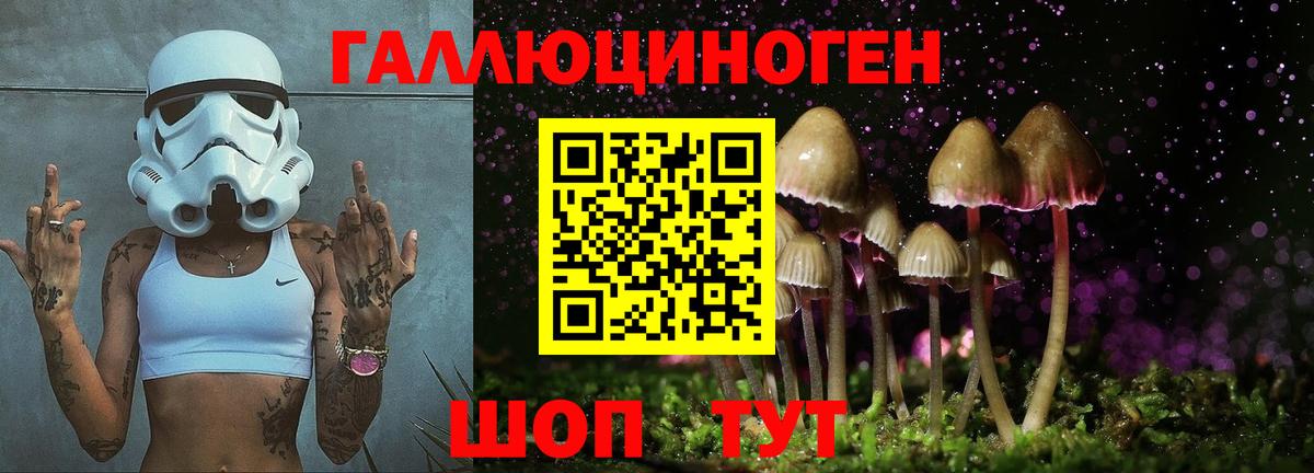 Югорск  Псилоцибиновые грибы MAGIC MUSHROOMS  Псилоцибиновые грибы GOLDEN TEACHER  Вход с VPN 